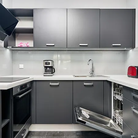 Swistackiego With Free Garage By Renters Apartmán Vratislav